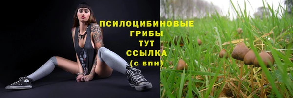 ГАЛЛЮЦИНОГЕННЫЕ ГРИБЫ Алексин