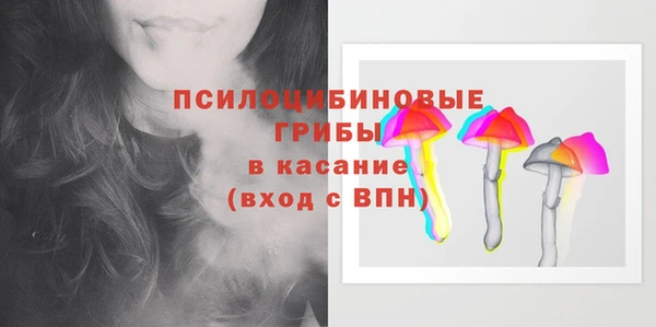 ГАЛЛЮЦИНОГЕННЫЕ ГРИБЫ Алексин