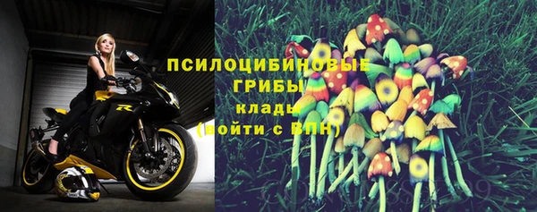 ГАЛЛЮЦИНОГЕННЫЕ ГРИБЫ Алексин