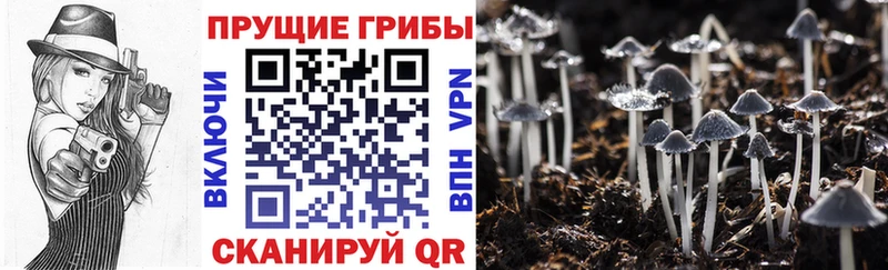 Галлюциногенные грибы мухоморы  Сясьстрой 